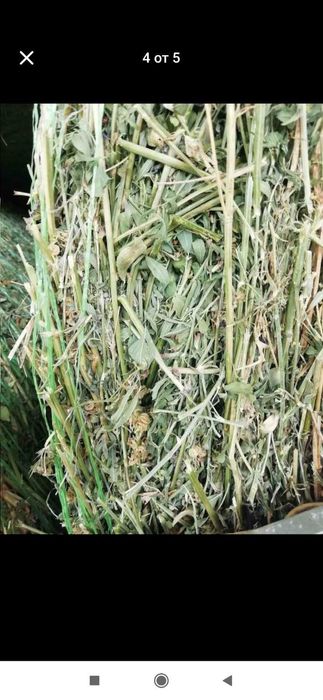 Рулонни бали-люцерна,сено и слама