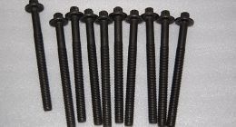 Suruburi chiuloasa Dacia Logan 1.6 16V Renault Megane Scenic 1.6 16V - SET 7701471373 Reinz