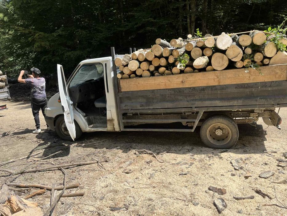 Vând lemne de foc