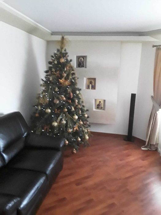 Brad de Craciun cu accesorii incluse