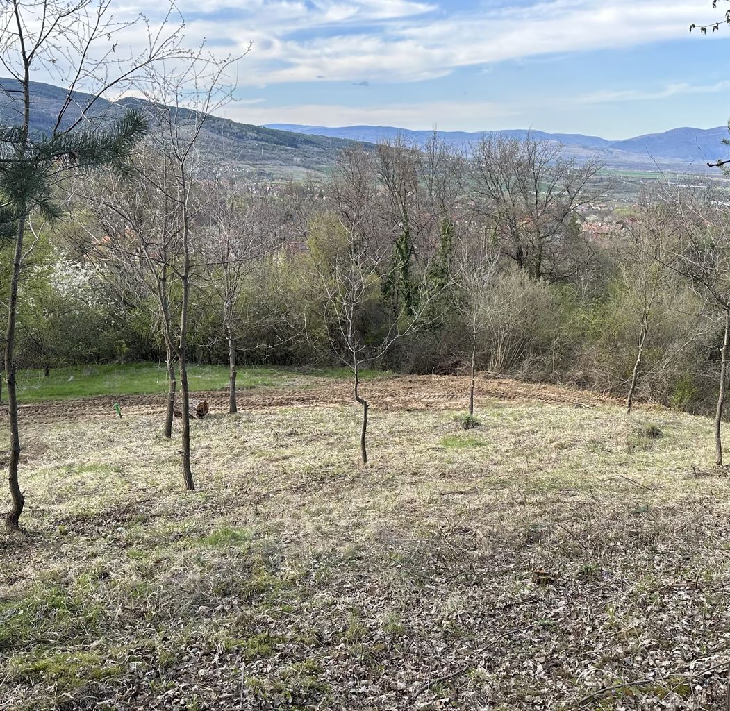 Продава се Парцел в с. Грамаждано, Област Кюстендил - 1311 кв.м за 3 €/кв.м - Снимка #2