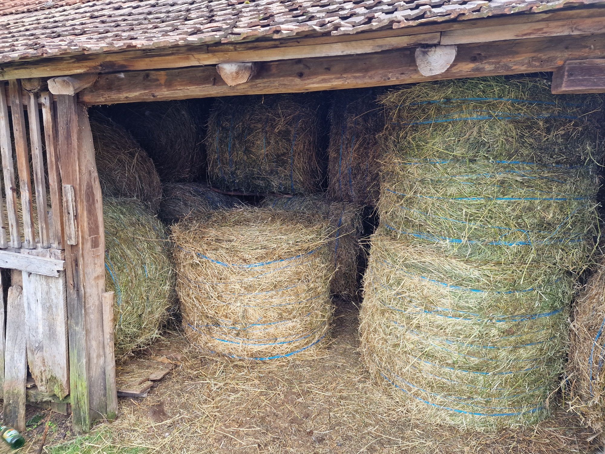 Vand baloți rotunzi de lucerna  fân si otavă,asigur transport