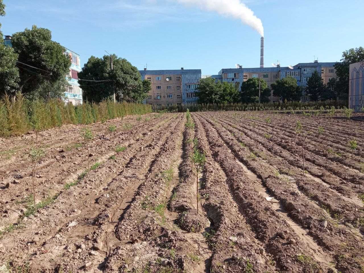 Срочна ЕР / ЗЕМЛЯ сотилади (1,07 га). Без посредников