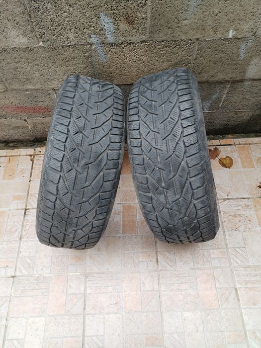 Гуми 225 55 17 зимни 2 бр
