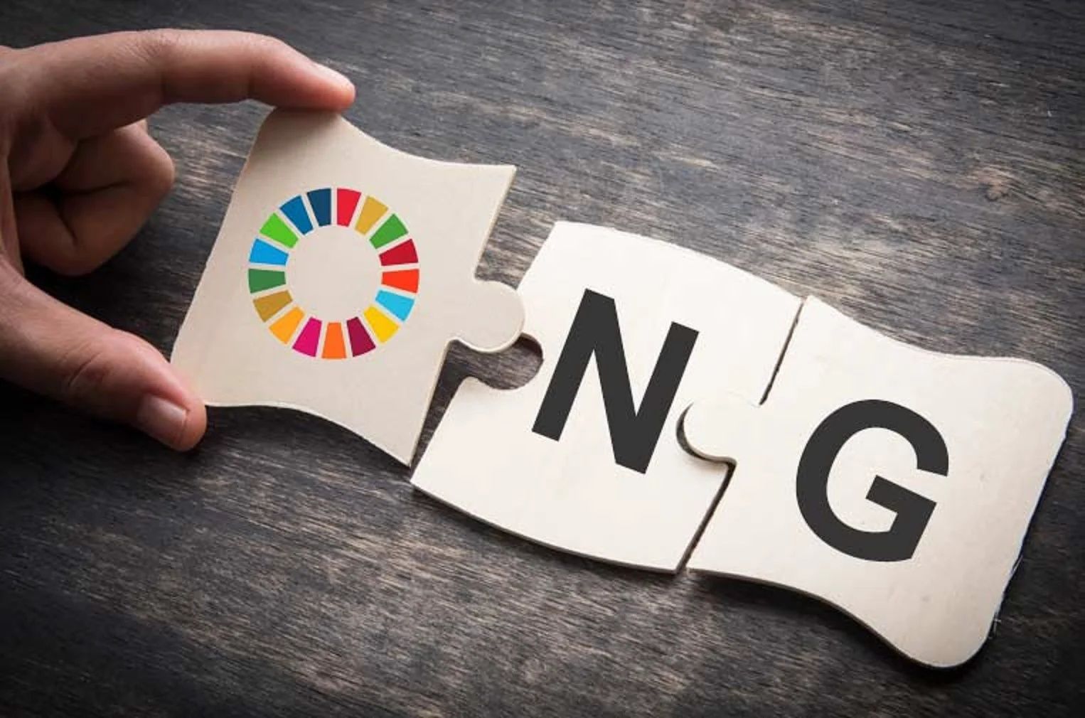 Cedam asociatie non-profit (ong)
