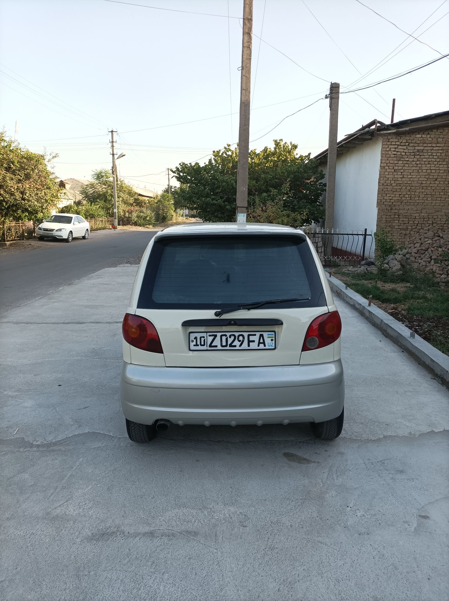 Mattiz mx xolati yaxw
