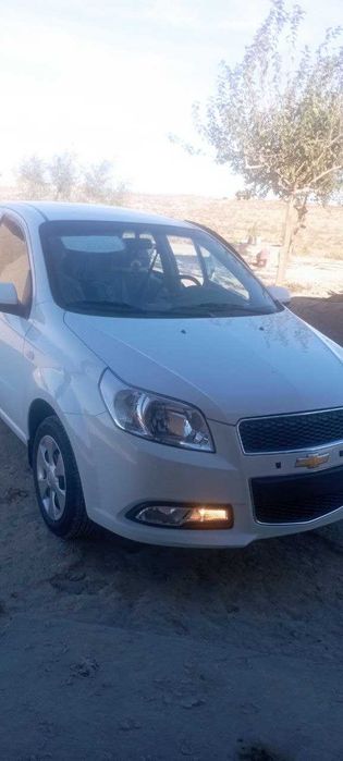 Nexia 3 Qamashi tumani