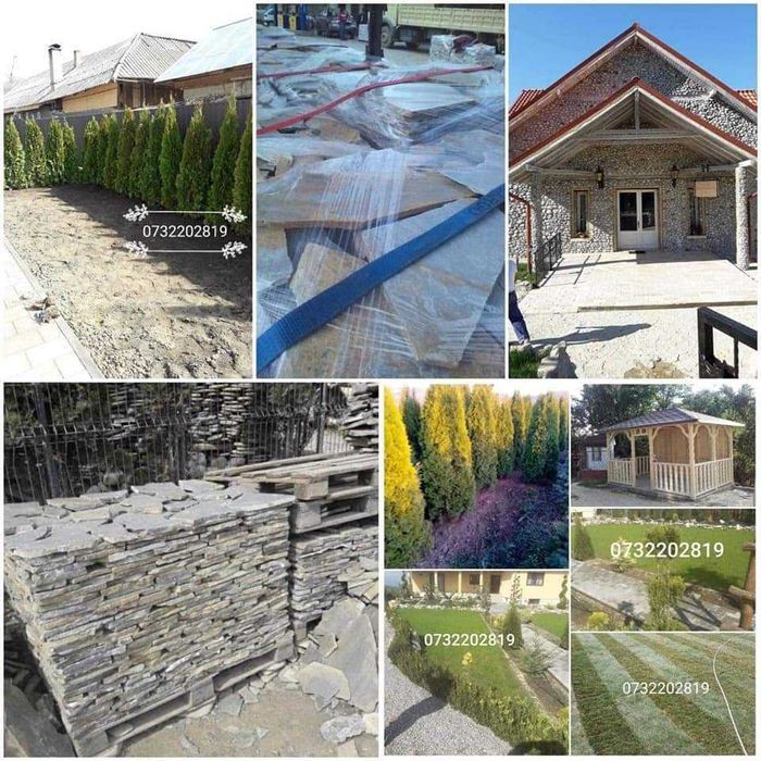 Brazi arginti si verzi