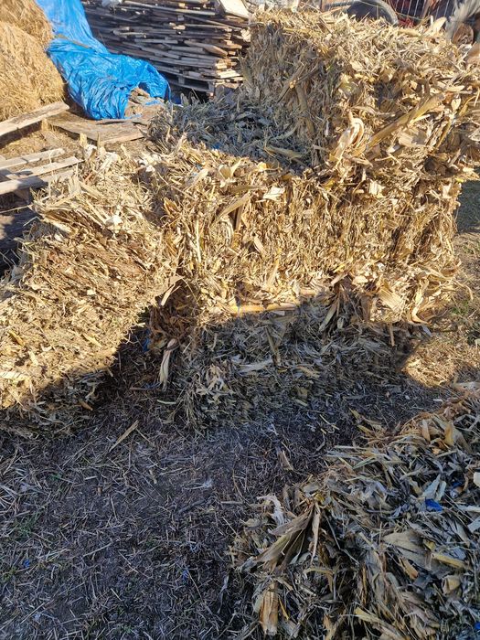 Baloti de coceni de vanzare