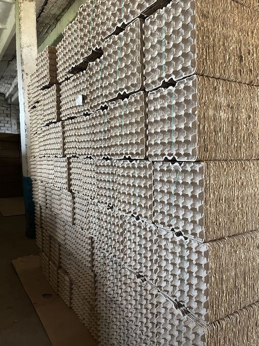 Яичные лотки (флейкм, коретки, бугорчатые прокладки)