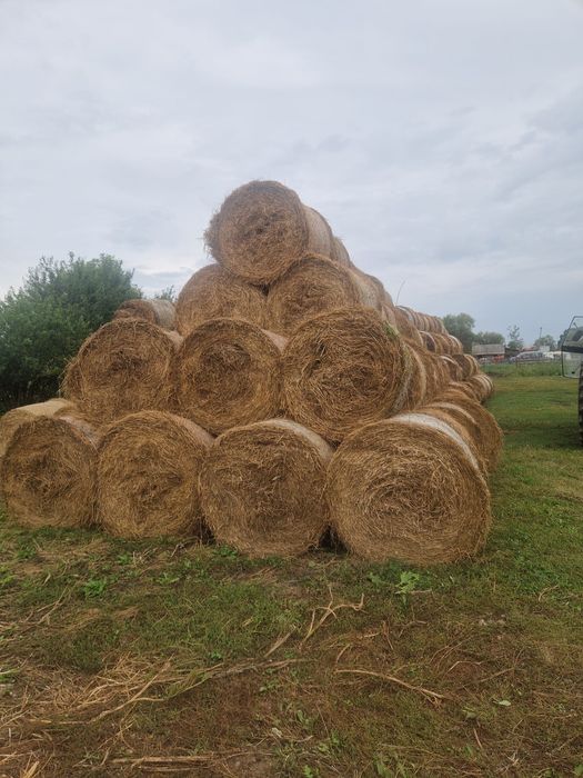 Baloți de lucernă