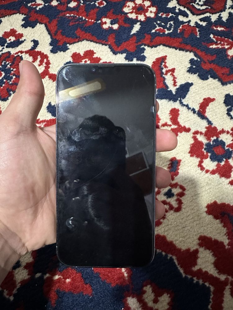 iPhone 13 Pro Max
