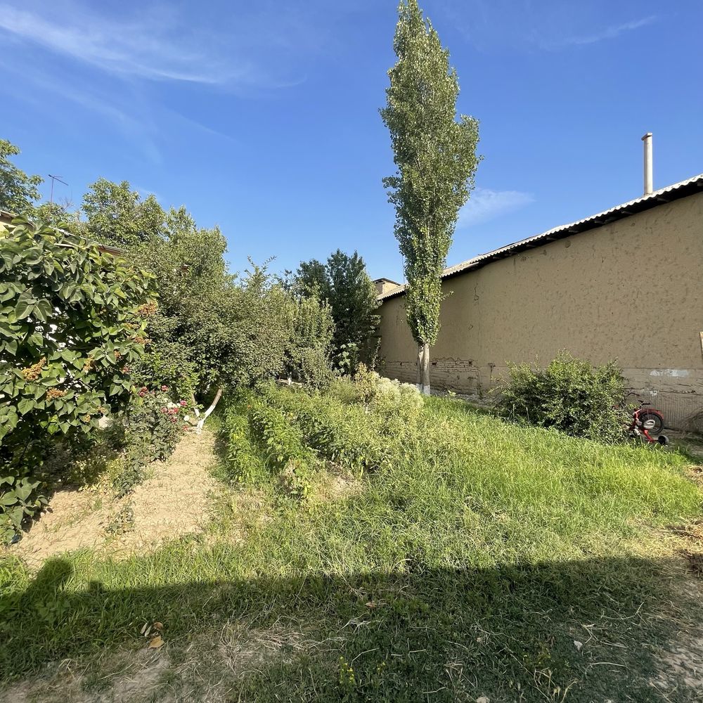 Toshkent tumani keles sanatoriya 5 sotok 3 xona 55000$