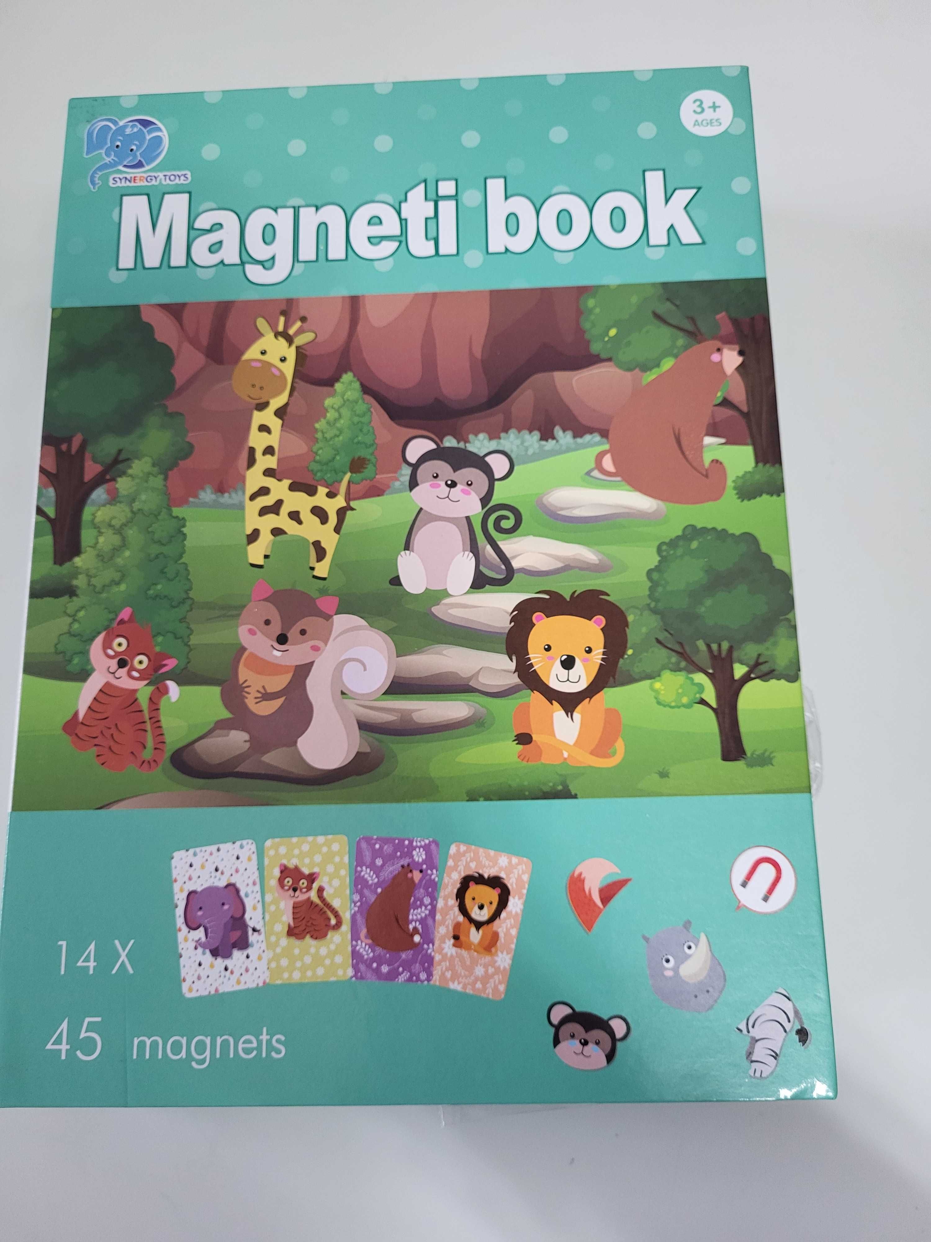 Carti magnetice: Puzzle/activitati zilnice, invatare ceas etc