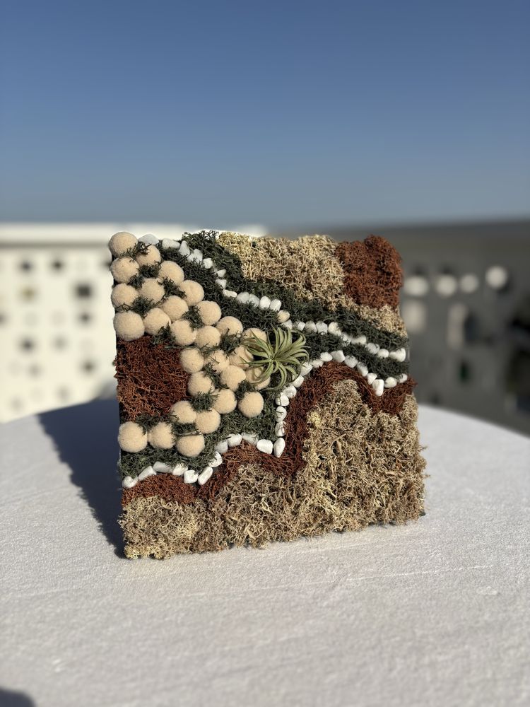 Tablouri handmade din licheni stabilizați, lemn natural și pietre