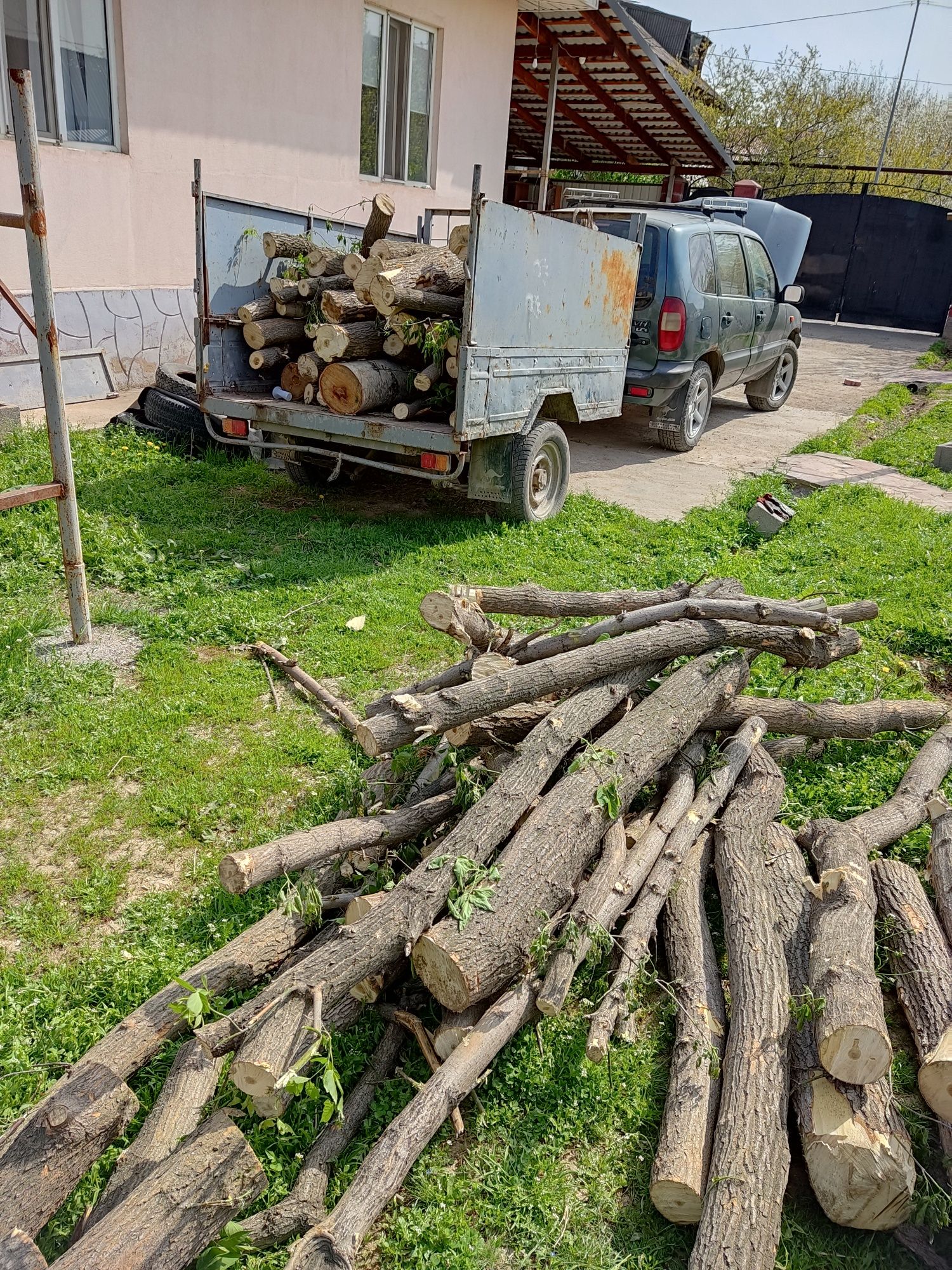 Дрова очень много дрова