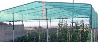 Plasa 35%Umbrire CULTURI 5x50m=417lei; 6x50m=500lei; 8x50m=735lei; UV