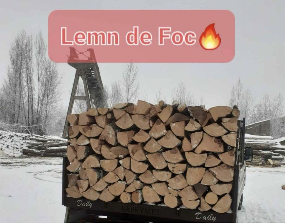 Lemne pentru foc