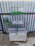Colivie reproducere canari plus colivi de cântec