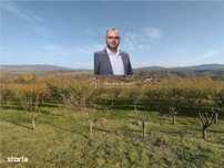 Slatina-Nera, 2200Mp. Teren Intravilan, La Sosea, Oportunitate!