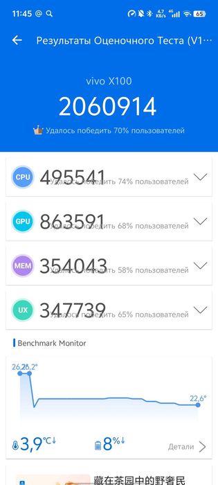 VIVO X100 GLOBAL 16/512 идеал