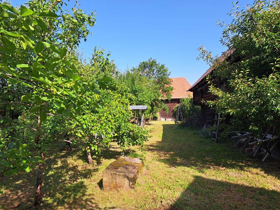 Casa cu livada + teren 5000 mp langa Tg. Secuiesc