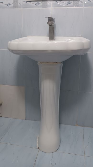 Раковина тюльпан