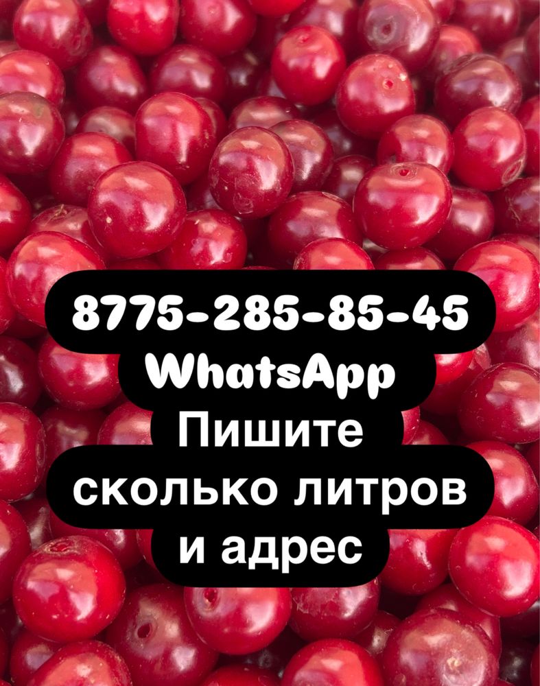 Вишня 10 л 7000тг