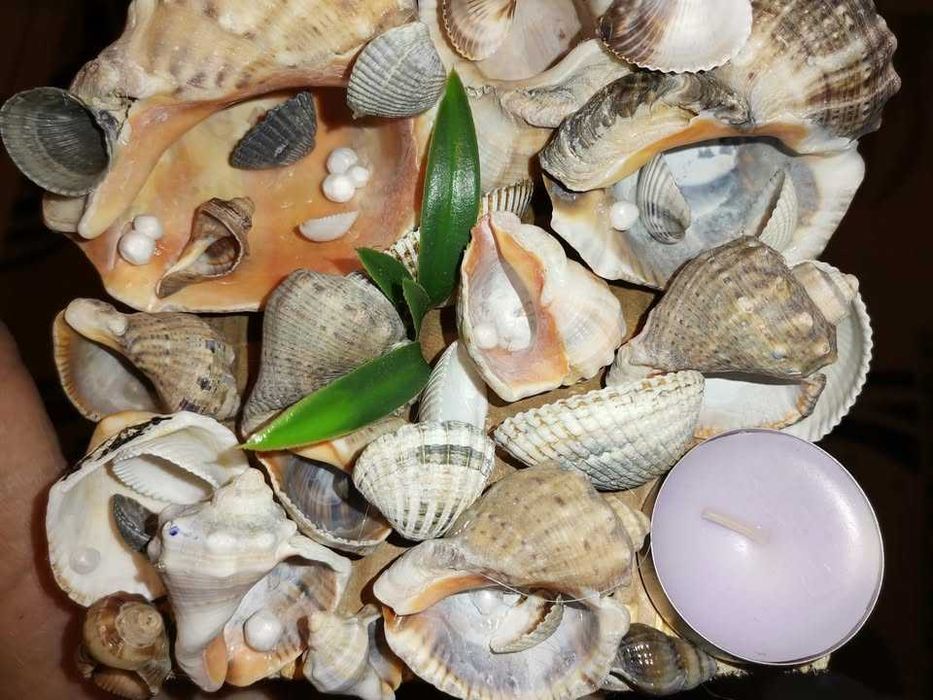 vor sa plece ...anintiri de neuitat