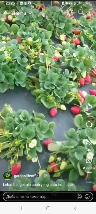 Продавам ягоди   и малини