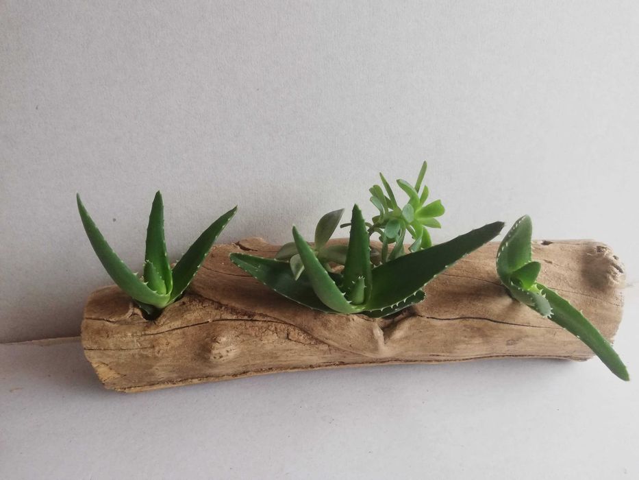 Ръчни дървени саксии