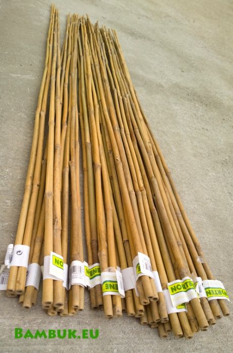 Бамбукови пръчки колчета за градина 120/150/180/210/240/295 см