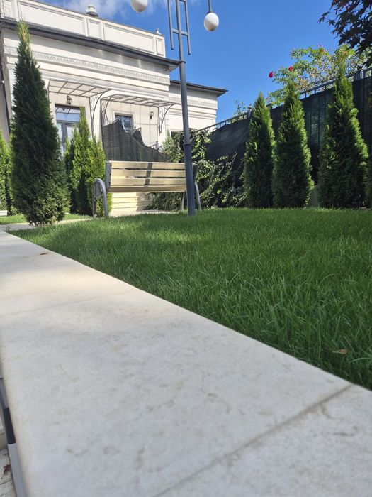 Spațiu Office Premium în Centru Iași