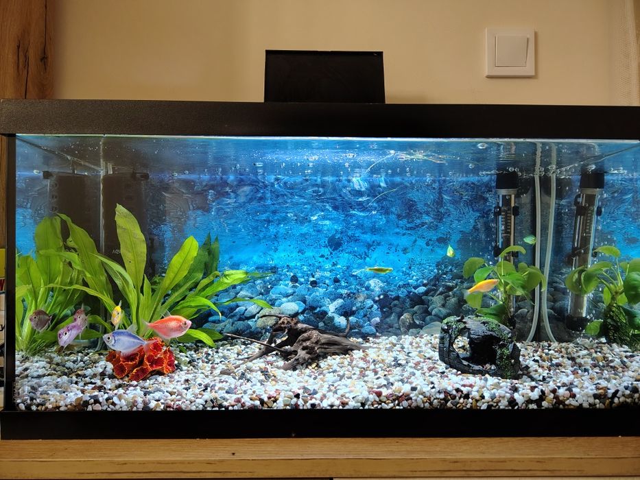 Аквариум - Aquael 60 литра