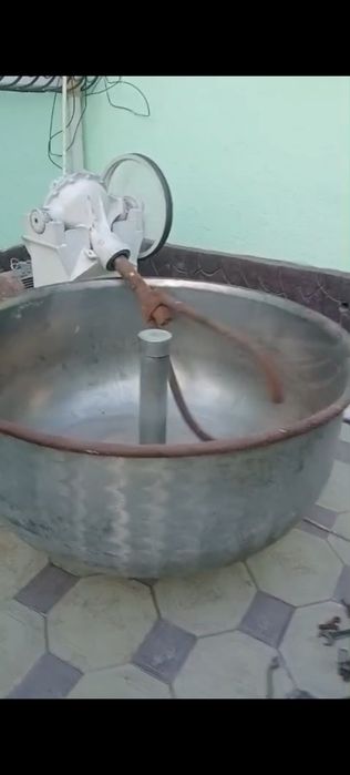 Тестамес турецкий