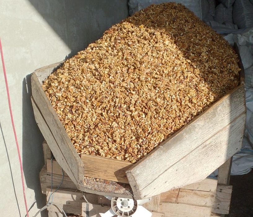 Miez de nuca proaspăt