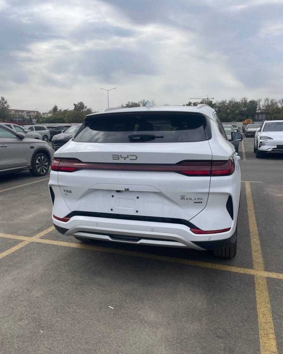 BYD song plus chimpion 2025