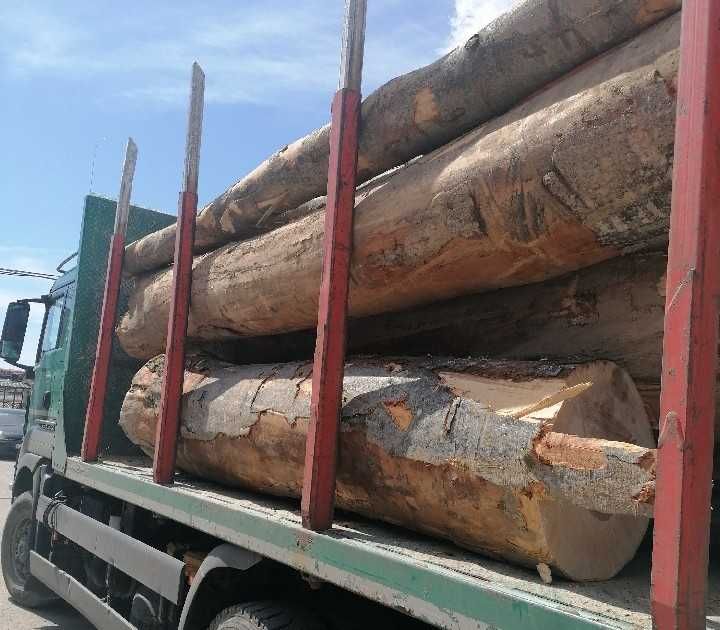 Vindem lemn de foc fag bustean