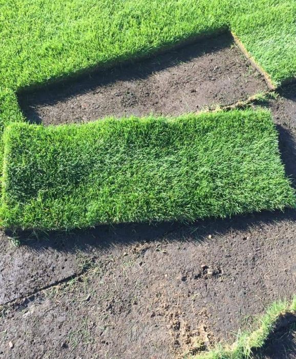 Gazon rulou Sport, Amnajam spații verzi, gazon etc