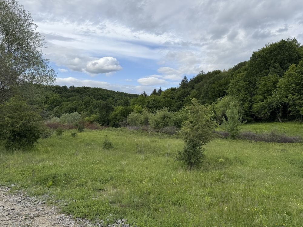 4600 mp Budesti priveliste panoramica asupra orasului Valcea 12500 €
