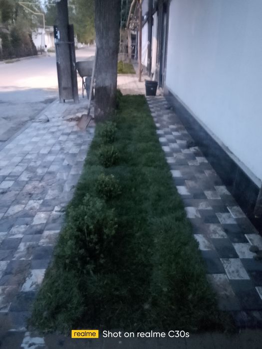 Gazon va landshaft xizmatlari