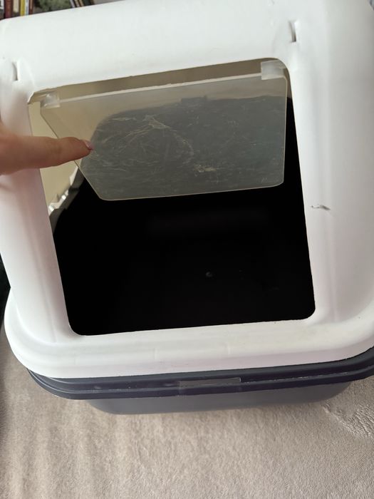 Litiera animalut de companie