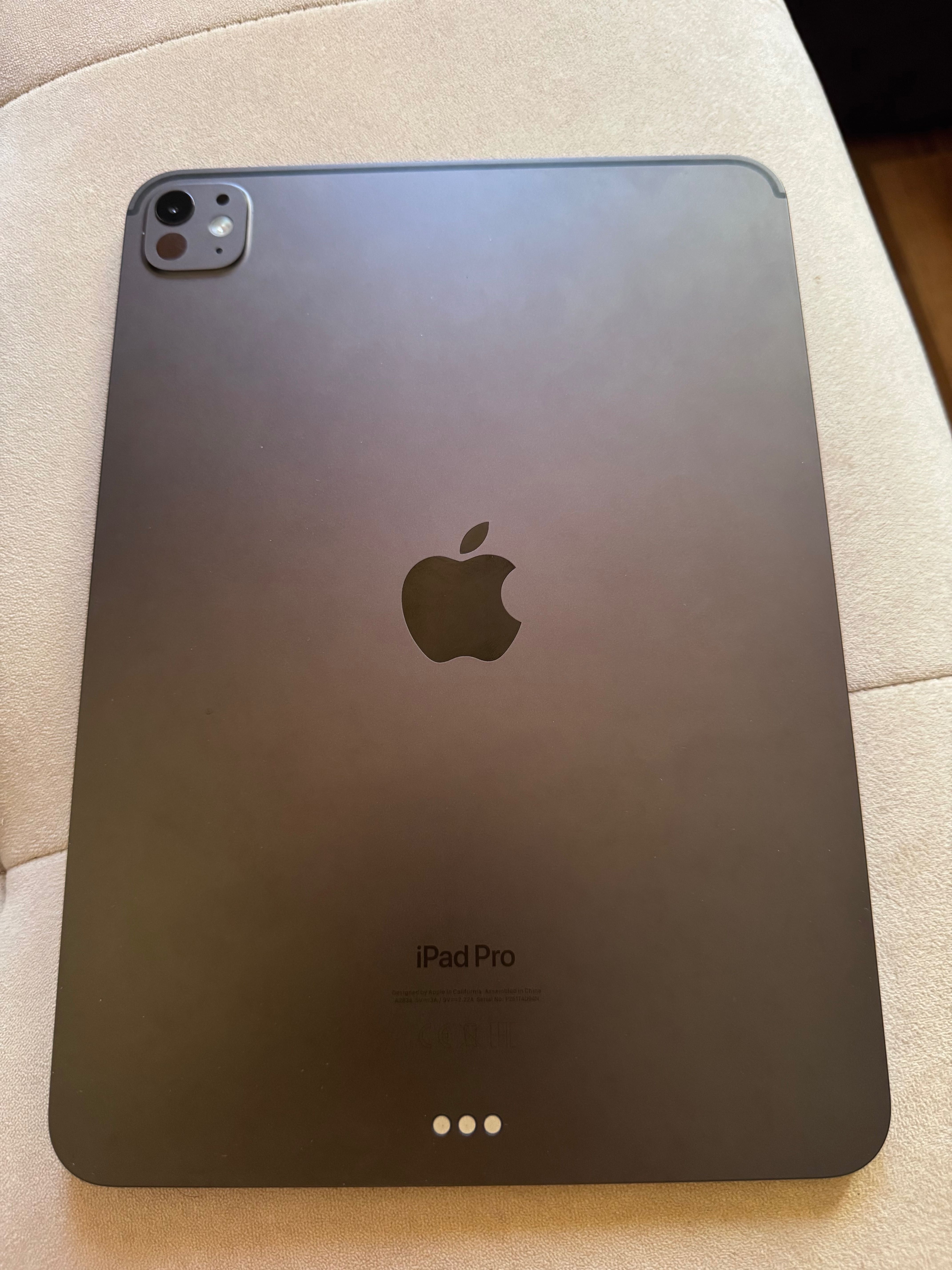 iPad Pro 11 inch M4 256 gb