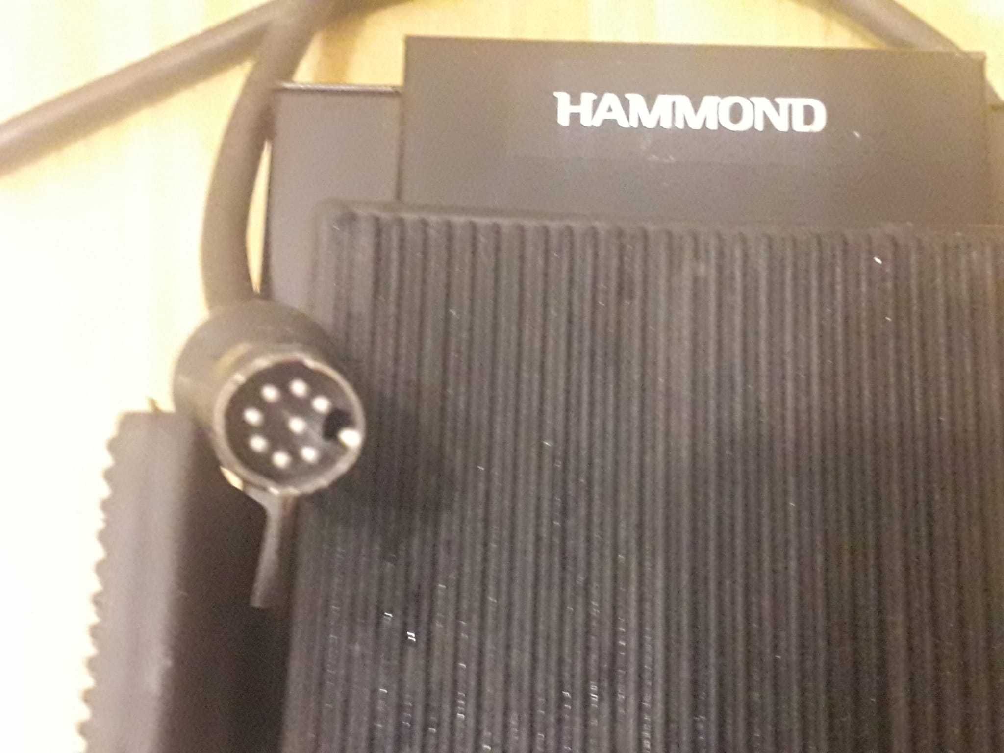 Vand pedala HAMMOND EXP-100F