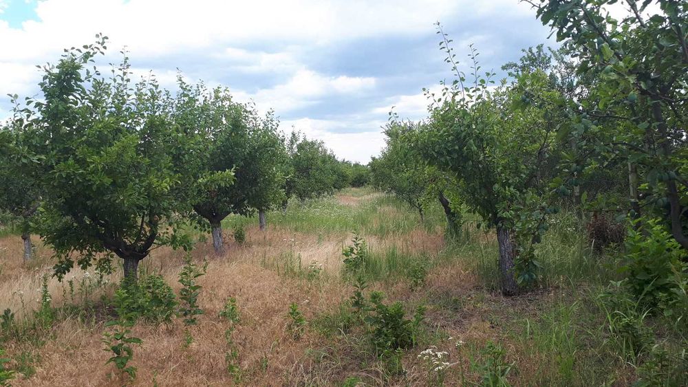 Teren de vânzare în zona Merei