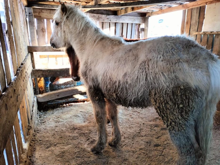 Продам Тай. г.Кокшетау. мкр.Жайлау