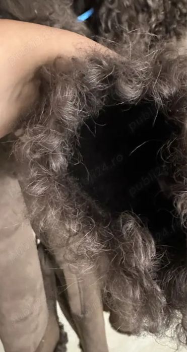 Cojoc blana naturala miel, marimea S / M