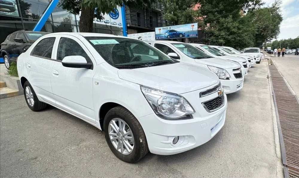 cobilt 2026 srochniy sotiladi