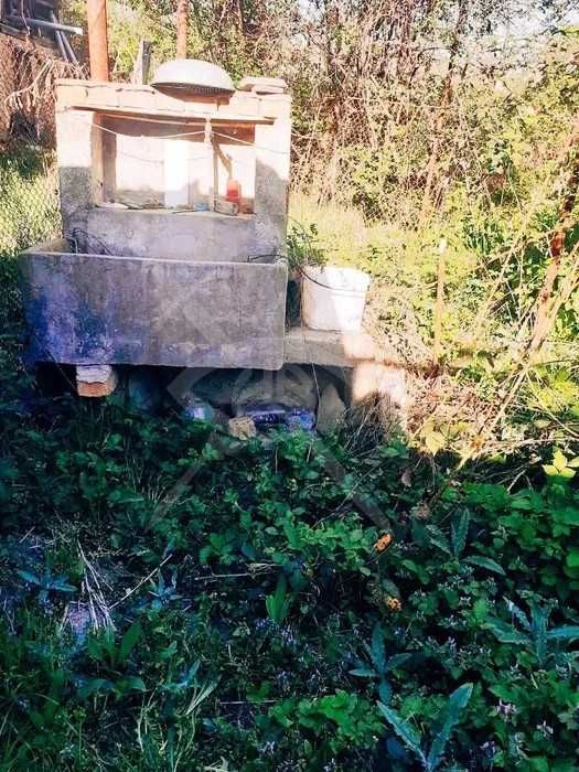 Къща в Кръстевич 88060