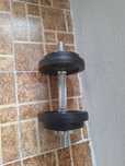Gantera  de 10 kg